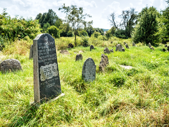 10a. Cmentarz żydowski w Krynkach.