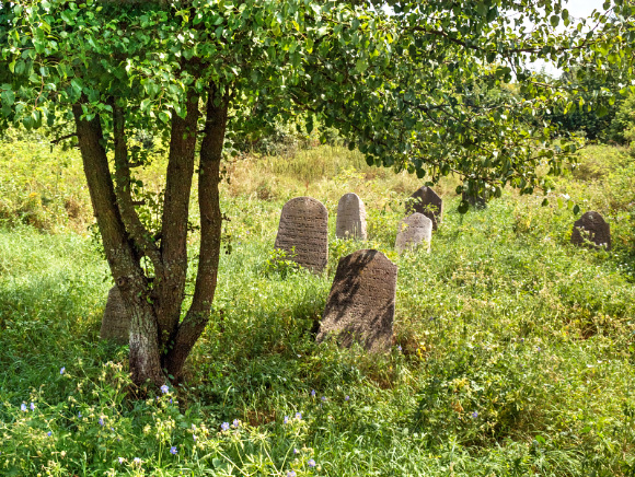 10b. Cmentarz żydowski w Krynkach.