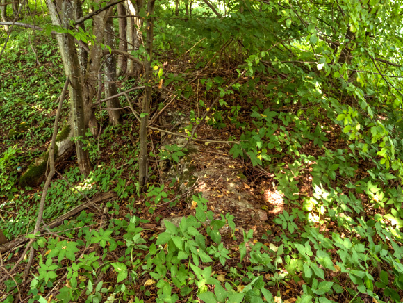 2. Pozostałości po dworku rodziny de Virion.