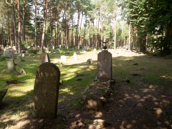 Kliknij aby powiększyć Mizar w Kruszynianach.