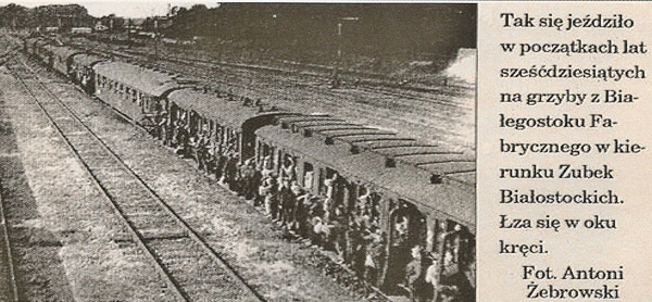 Kliknij aby powiększyć Wyprawa pociągiem na grzyby do Puszczy Knyszyńskiej.