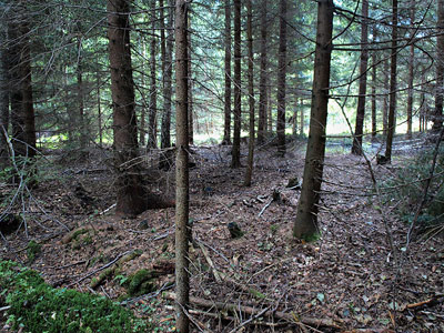 Kliknij aby powiększyć Miejsce bitwy w Piereciosach.